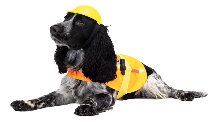HiViz-Lando-Tradesdog-sml